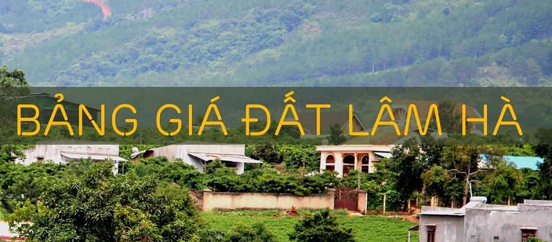 Thị trường bất động sản huyện Lâm Hà 2022 - ảnh 3