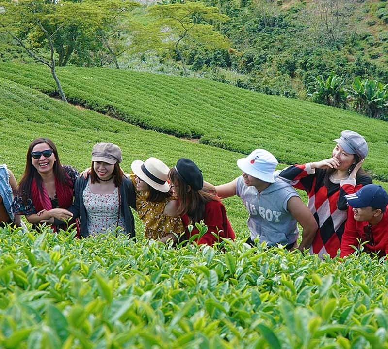 Đồi chè Cầu Đất là địa điểm check in yêu thích của các bạn trẻ