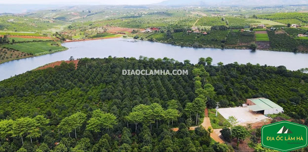 Toàn cảnh bất động sản Lâm Hà - Lâm Đồng, Tại sao lại nên đầu tư vào đất  nền ở Lâm Hà? ảnh 1