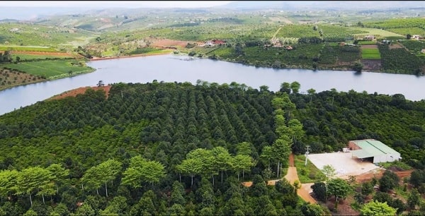 Nơi đây có khung cảnh thiên nhiên tươi đẹp, không khí trong lành