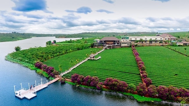 Hồ Phúc Thọ có vô số view chụp hình sống ảo đẹp