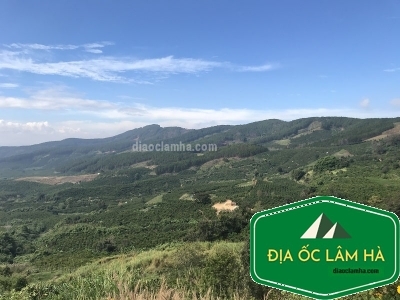 Bán 40000m2 đất đồi view đẹp đường lớn xã Nam Hà