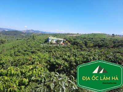 Có 1.3 hecta đất vườn đồi view đẹp tại xã Nam Hà