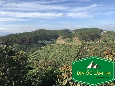 13.0000m2 đất đồi Phi Tô giáp Nam Hà view đẹp