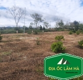 7.5 sào đất Nam Hà nằm trên mặt tiền đường thôn Hoàn Kiếm 3