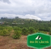 7.5 sào đất Nam Hà nằm trên mặt tiền đường thôn Hoàn Kiếm 3