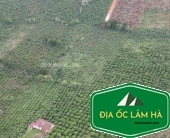 Bán 2.2 hecta đất Phi Tô giáp ranh Nam Hà