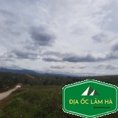 Lô đất vườn Nam Hà view đẹp thuận tiện phân lô