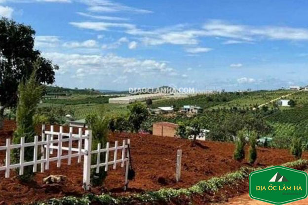 Bán đất rẫy xã Nam Hà, huyện Lâm Hà, tỉnh Lâm Đồng