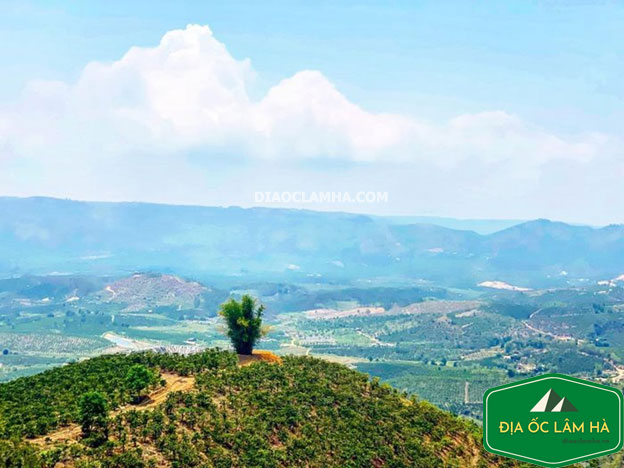 Huyện Lâm Hà cách Đà Lạt bao nhiêu km