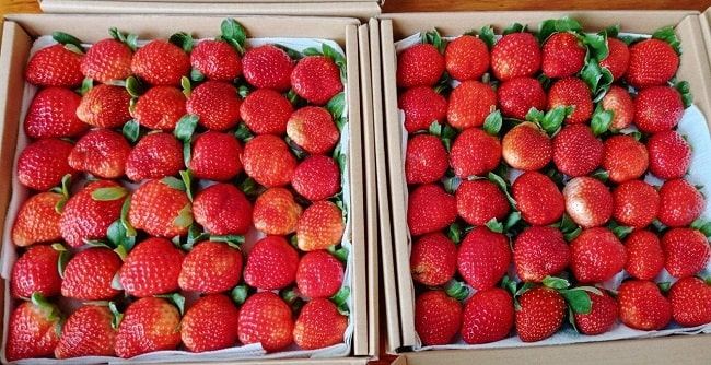 Review chợ Nam Ban - Điểm mua sắm lý tưởng của người dân địa phương