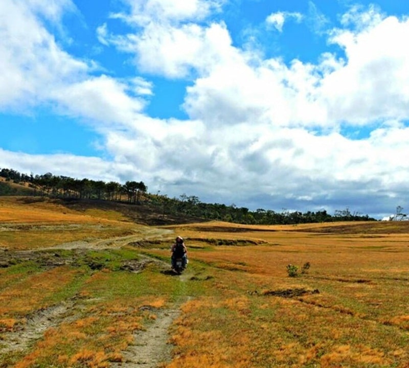 Đồi cỏ trọc Masara - Bức tranh yên bình giữa núi đồi