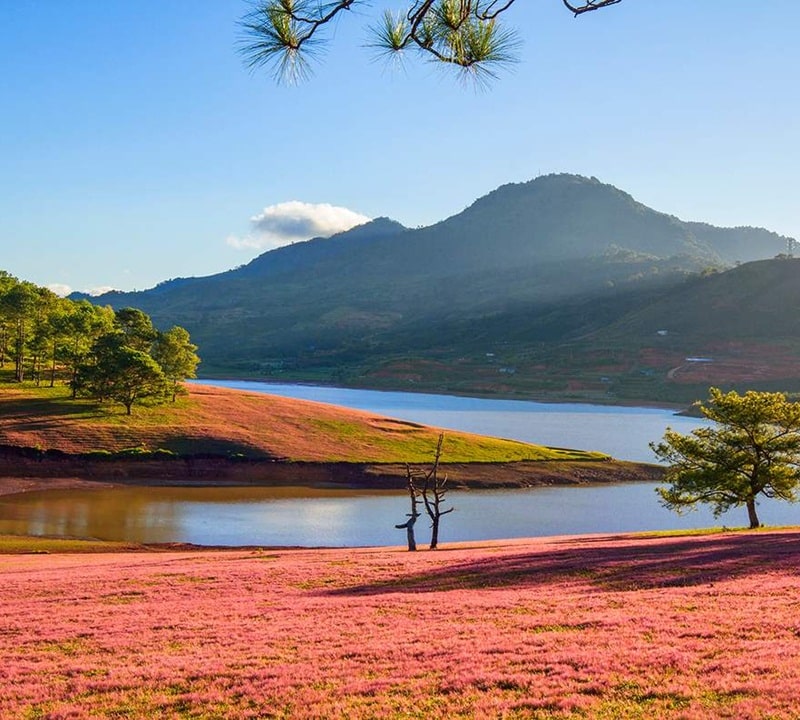 Cung đường hồ Suối Vàng Đà Lạt làm xiêu lòng du khách