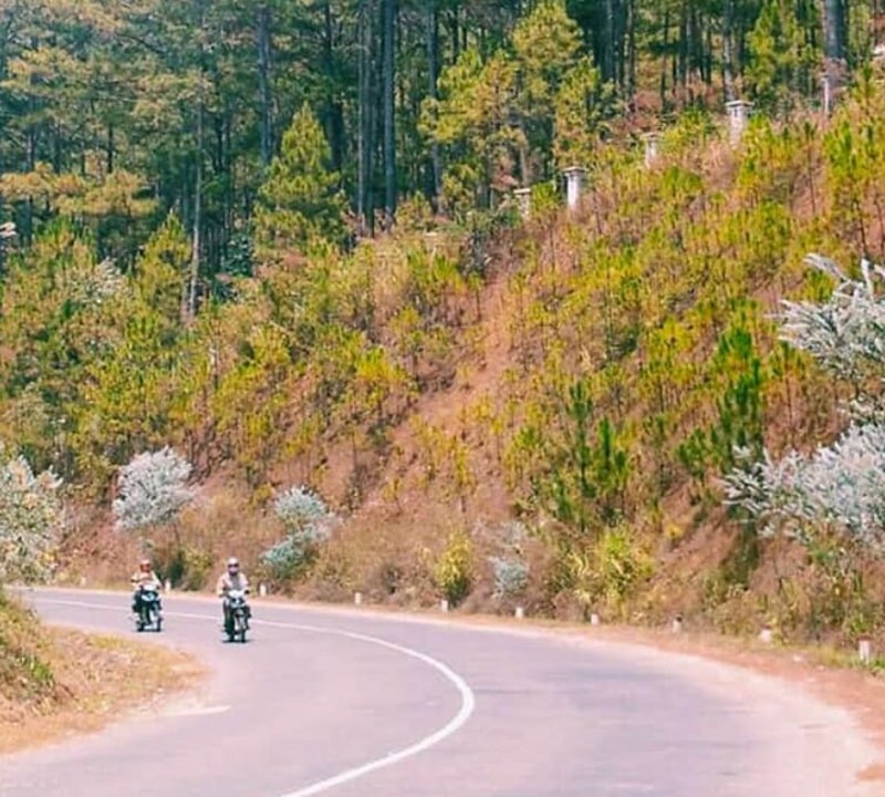 Bốn điểm dừng chân đẹp ngây ngất trên cung đường đèo Mimosa