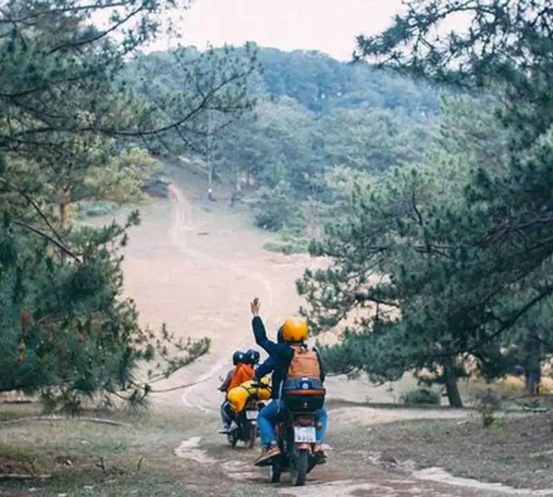 Khám phá vẻ đẹp của cung đường Trại Mát - Đồi Chè Cầu Đất