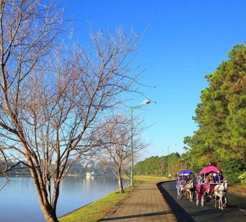 Cung đường Hồ Xuân Hương thành phố Đà Lạt