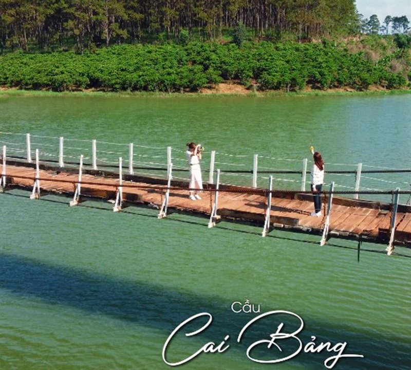 Cây cầu bắc qua hồ Cai Bảng trở thành điểm check in tuyệt đẹp giữa sông nước